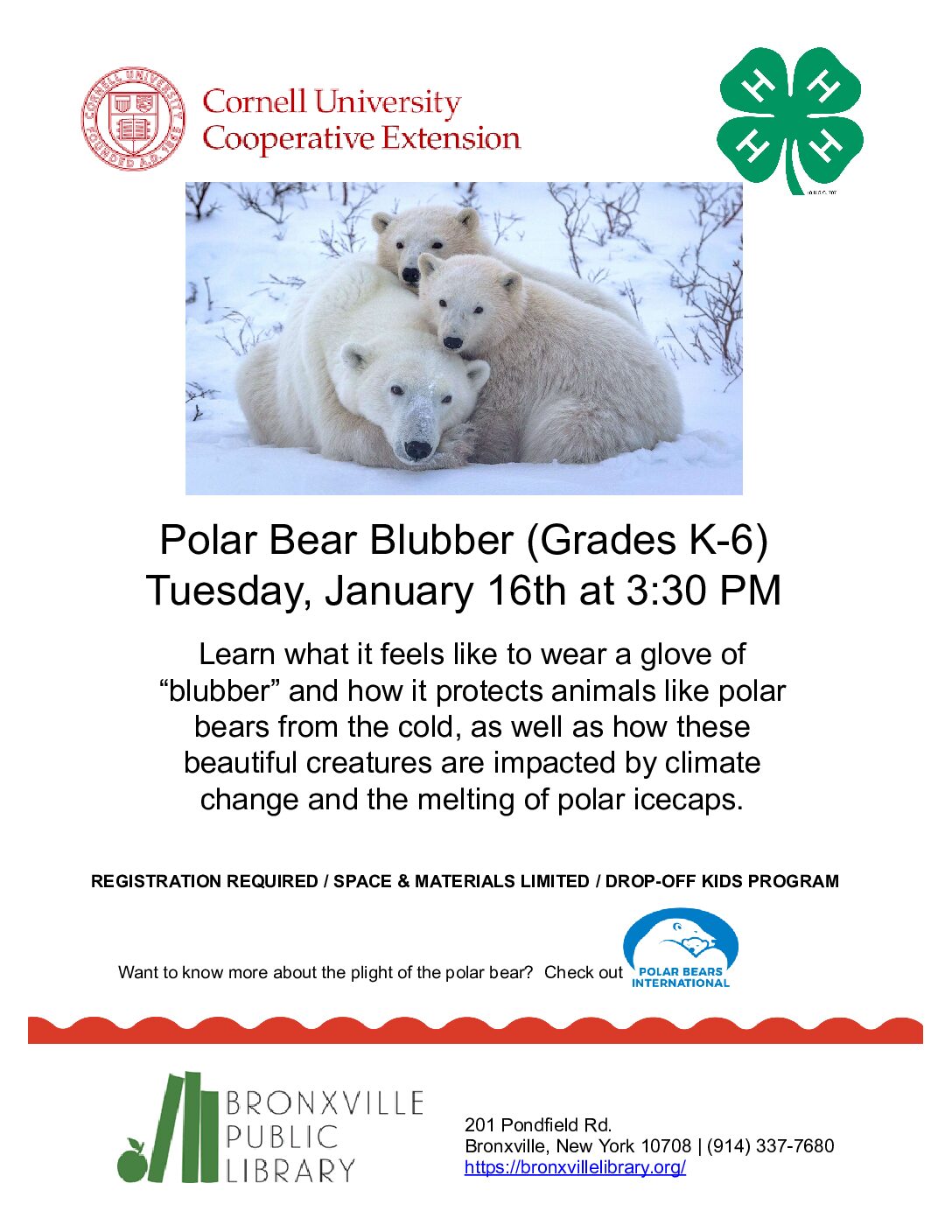 Polar Bear Blubber (Grades K-6) Rescheduled to 1/23