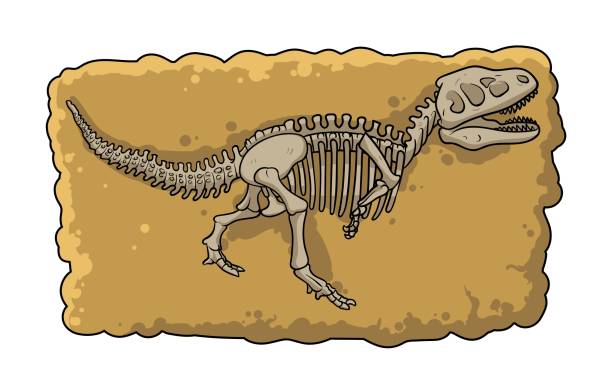 Historical Highlights Club: Prehistoric Dinosaurs